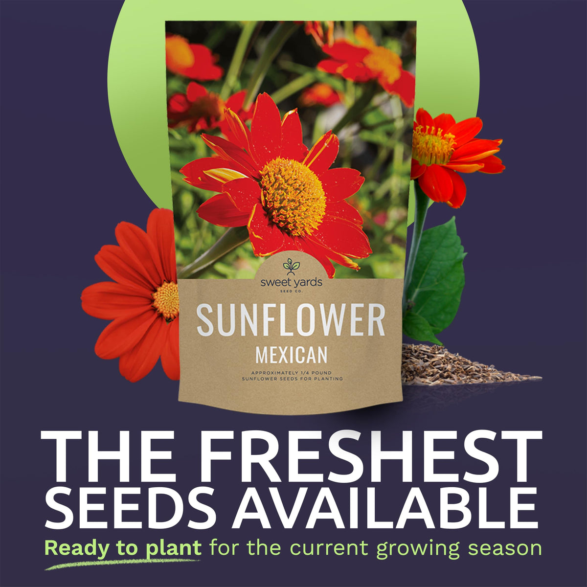 Sweet Yards open-pollinated seeds Tithonia rotundifolia support biodiversity in home plots.