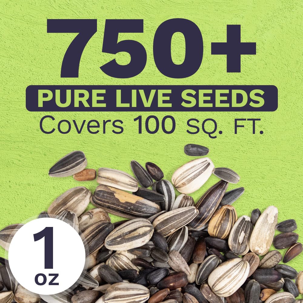 Sweet Yards open-pollinated seeds support natural pollinators in the garden.
