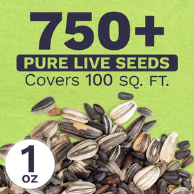 Sweet Yards open-pollinated seeds support natural pollinators in the garden.