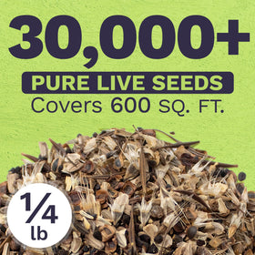 Sweet Yards open-pollinated wildflower mix supports diverse pollinators.