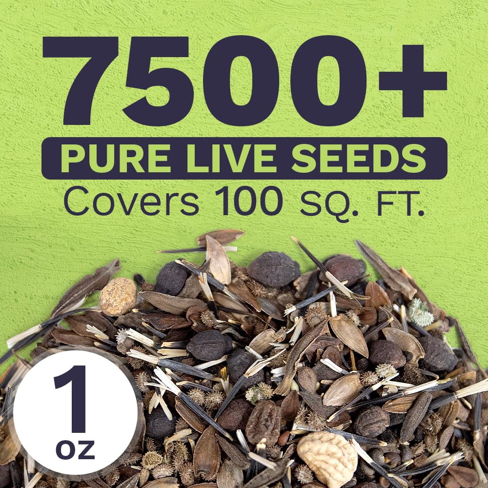Sweet Yards open-pollinated mix ensures diverse blooms across seasons.