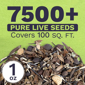 Sweet Yards open-pollinated mix ensures diverse blooms across seasons.