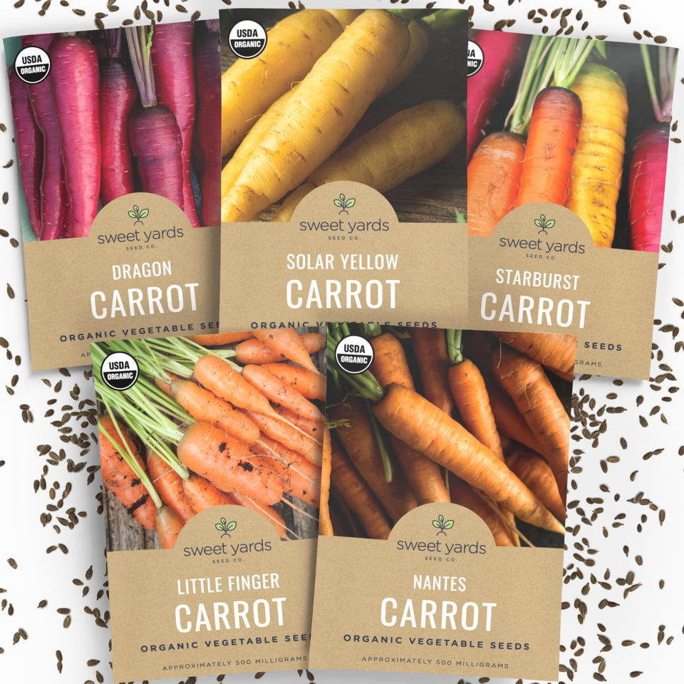 Sweet Yards organic carrot seed pack offers five colorful varieties for vibrant home gardens.