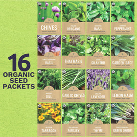Sweet Yards seeds close-up showing diverse varieties for flavorful home harvests.