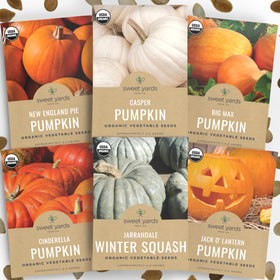 Sweet Yards Organic Pumpkin Seeds Variety Pack six packets for planting and harvest