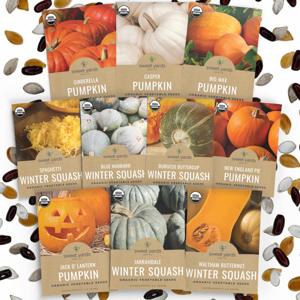 Sweet Yards organic pumpkin and winter squash seed collection on display for versatile indoor and outdoor planting.