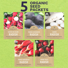 Sweet Yards Daikon radish seeds pack for large, mild roots