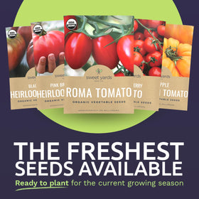Sweet Yards Sweetie Cherry tomato seeds pack; ideal for balcony gardens.