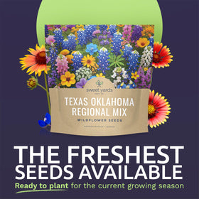 Sweet Yards over 1-ounce seeds close-up ready for quick sowing