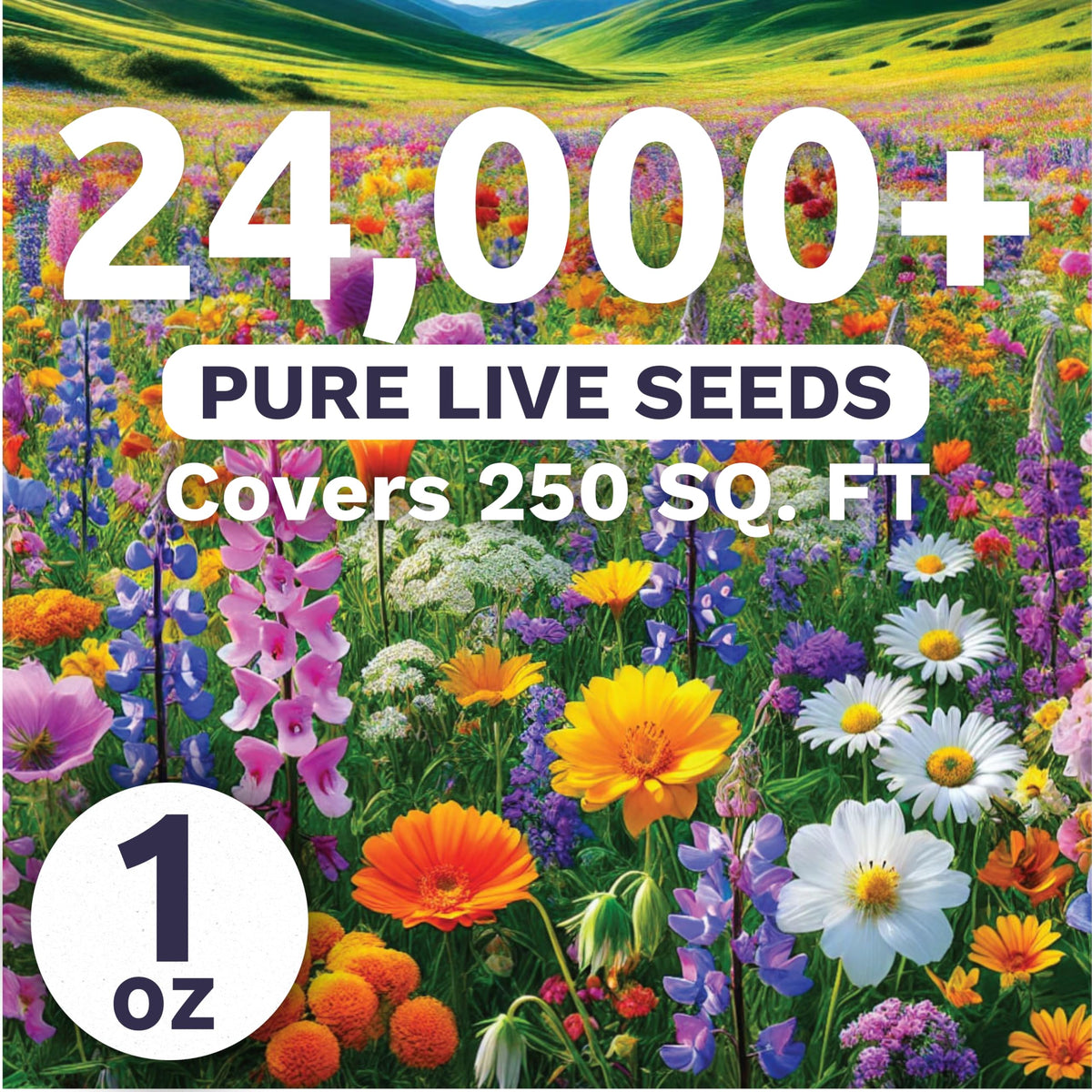 Sweet Yards image showing over 24,000 live seeds in a 1-ounce pack for wide coverage.