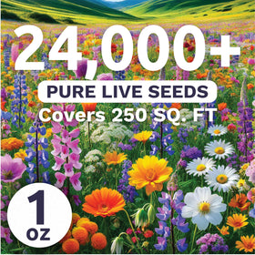 Sweet Yards image showing over 24,000 live seeds in a 1-ounce pack for wide coverage.