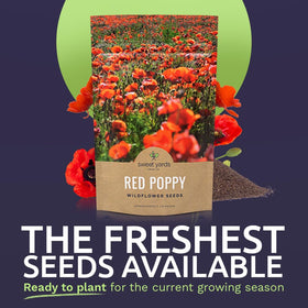 SWEET YARDS over 800,000 seeds bag highlighting sheer quantity for large garden coverage