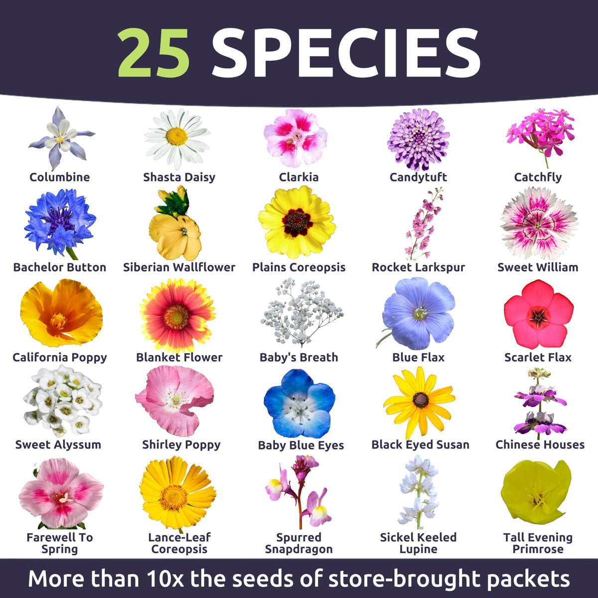 Sweet Yards pacific-northwest-wildflower-meadow display with colorful blooms and varied textures.