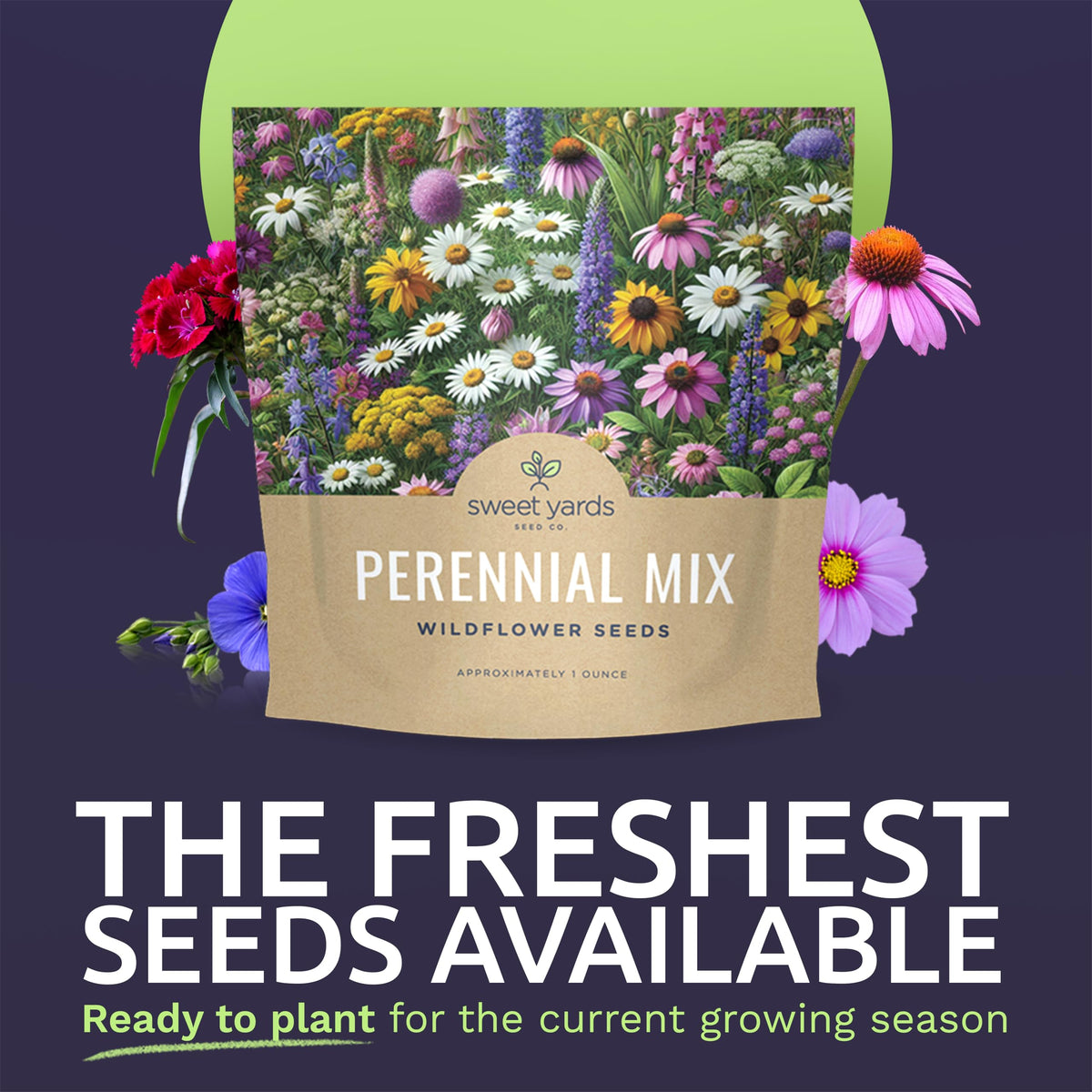 Sweet Yards perennial wildflower seeds 15000 over 15000 seeds for high germination and blooms