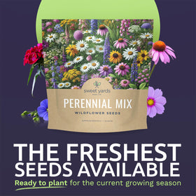 Sweet Yards perennial wildflower seeds 15000 over 15000 seeds for high germination and blooms