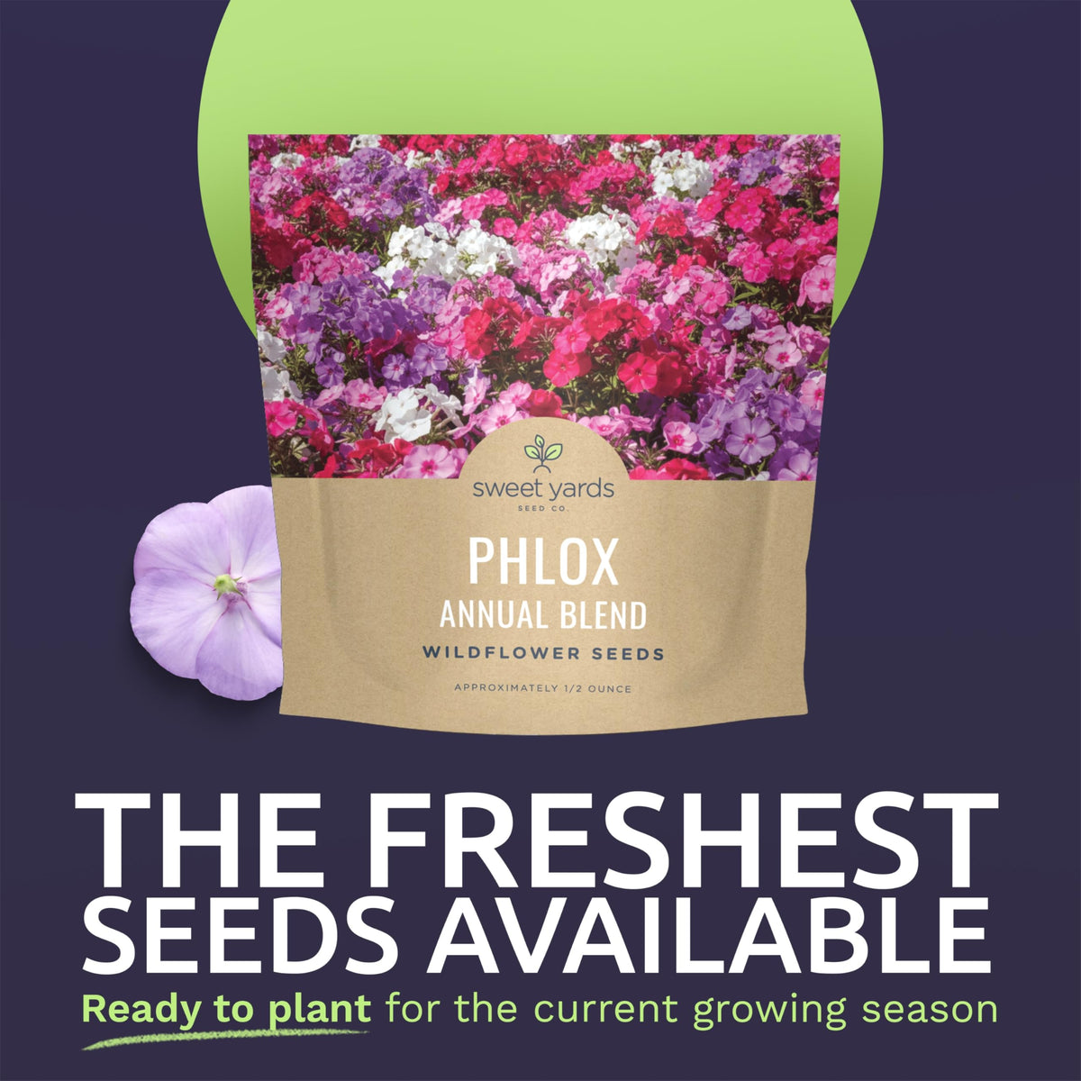 Sweet Yards Phlox Annual Blend offers 7,000 seeds for vibrant borders