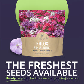 Sweet Yards Phlox Annual Blend offers 7,000 seeds for vibrant borders