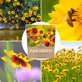 Sweet Yards Plains Coreopsis gift-ready packaging for gardeners.