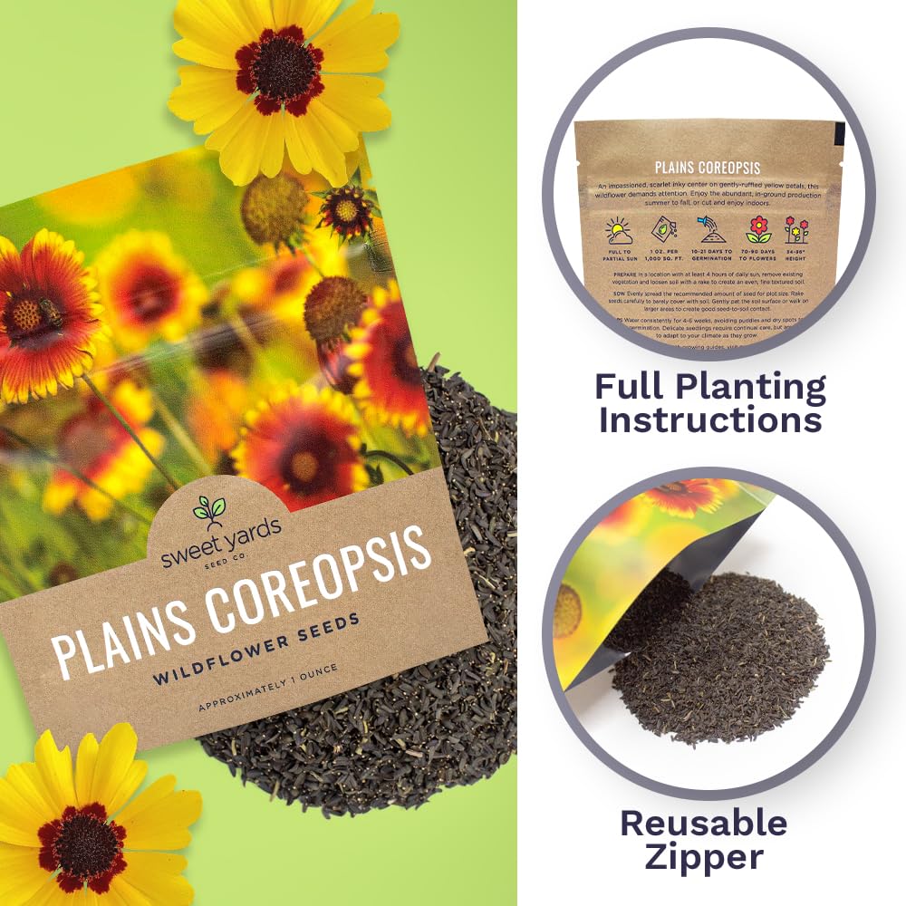 Sweet Yards Plains Coreopsis Non-GMO seeds for eco-friendly gardening.