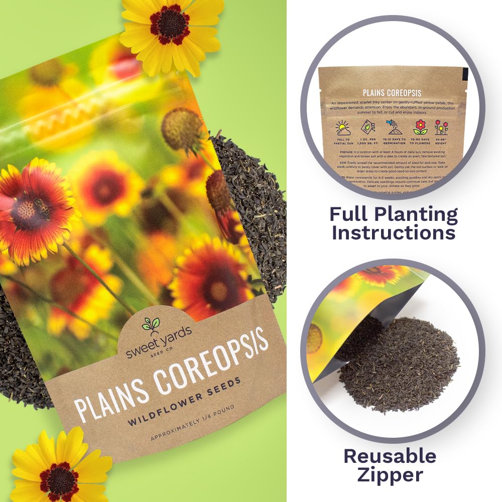 SWEET YARDS Plains Coreopsis seeds in garden bed ready to sow