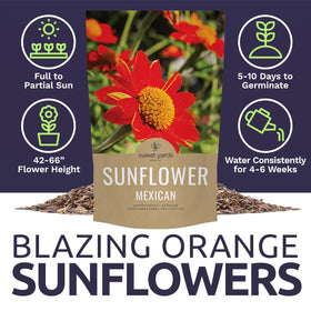 Sweet Yards pollinator-friendly seeds attract butterflies and other pollinators in your garden.