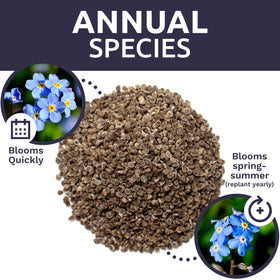 Sweet Yards USA-sourced open-pollinated seeds reflect trusted domestic provenance.