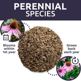 Pollinator-friendly wildflower mix from SWEET YARDS supports bees and butterflies.