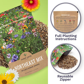 Sweet Yards wildflower blend attracting bees and butterflies.