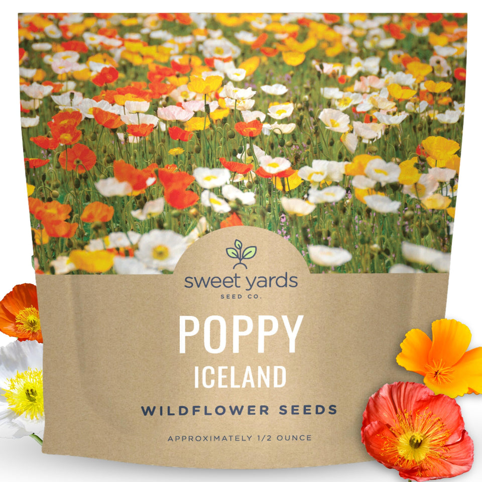Sweet Yards Poppy Iceland half-ounce packet showing generous seed supply for large garden plots.