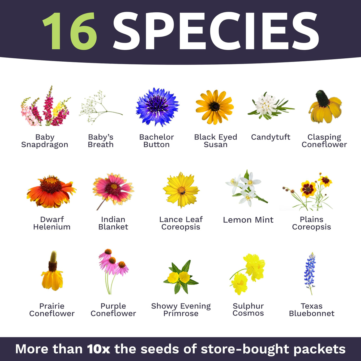 Sweet Yards premium packaging with reseal zipper and planting guide