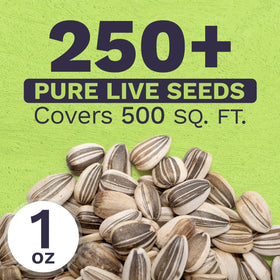Sweet Yards premium packaging with zipper for long-term seed storage