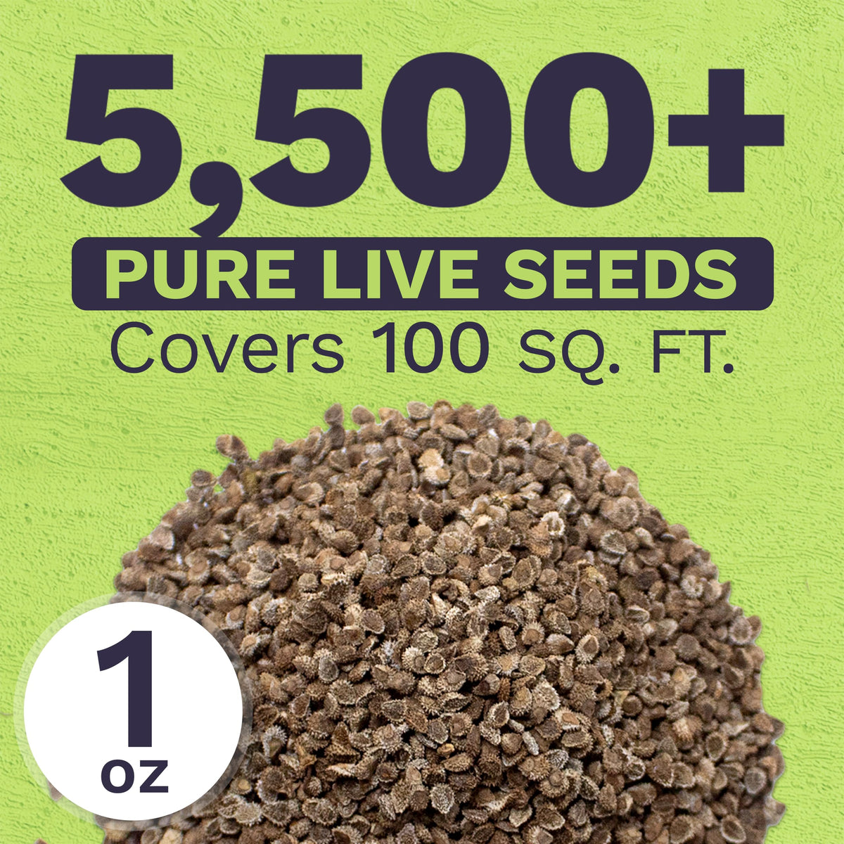 Sweet Yards premium resealable packaging preserves seeds for future seasons.