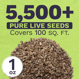 Sweet Yards premium resealable packaging preserves seeds for future seasons.