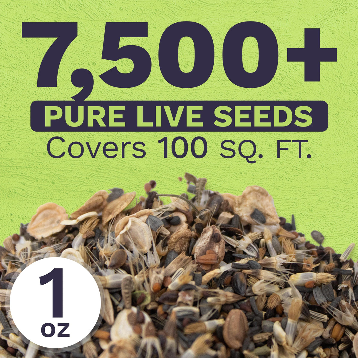 Sweet Yards premium seed packaging keeps seeds fresh and organized for planting.