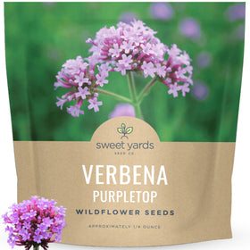 Sweet Yards Purpletop Verbena seed packet quarter-ounce for large garden sowing