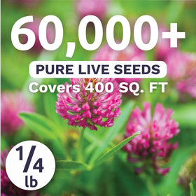 Sweet Yards red clover crimson blooms attracting bees and pollinators.