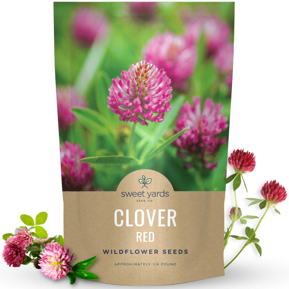 Sweet Yards red clover seeds ready for planting in home gardens with easy sowing.
