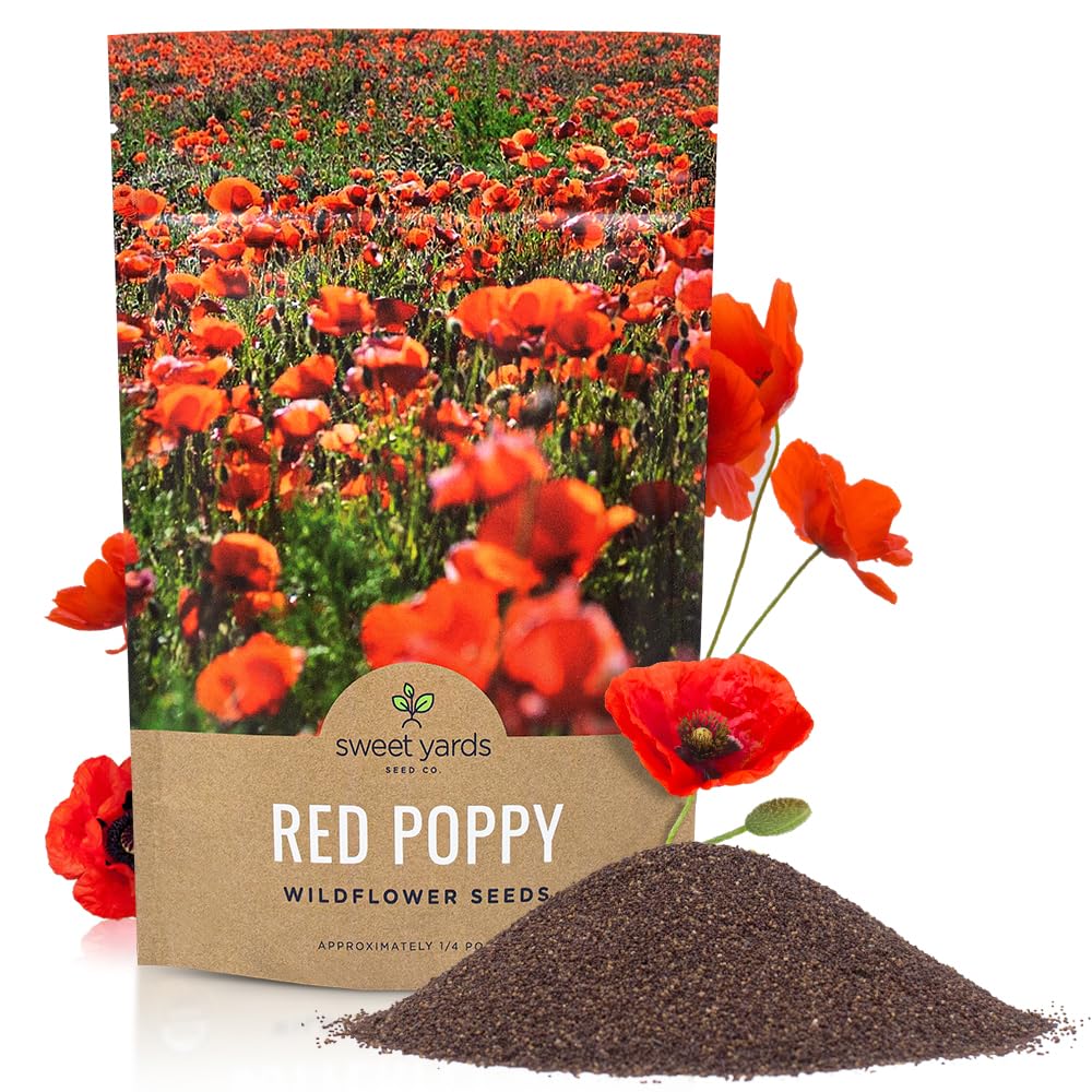 SWEET YARDS red poppy seeds bulk bag close-up for high germination and easy sowing