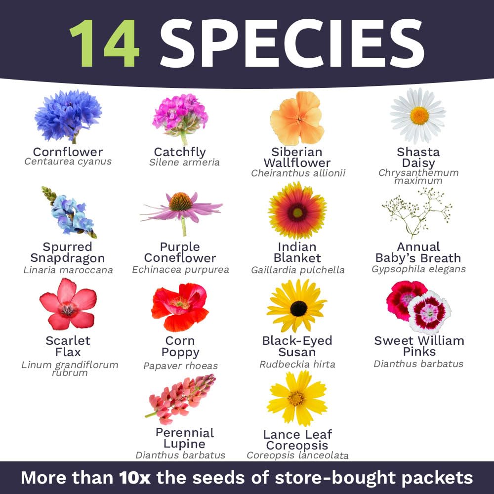 Sweet Yards region-specific mix for New York soils and blooms.