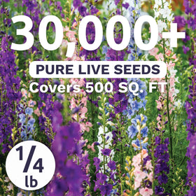 Sweet Yards Rocket Larkspur Imperial Mix tall spikes add dramatic height.