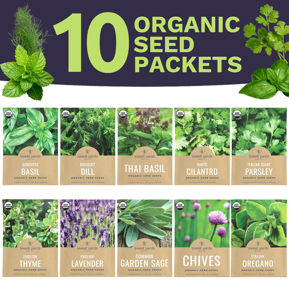 Sweet Yards Santo Cilantro seed packet for bright, citrusy salsas