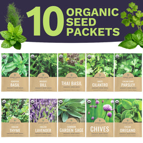 Sweet Yards Santo Cilantro seed packet for bright, citrusy salsas
