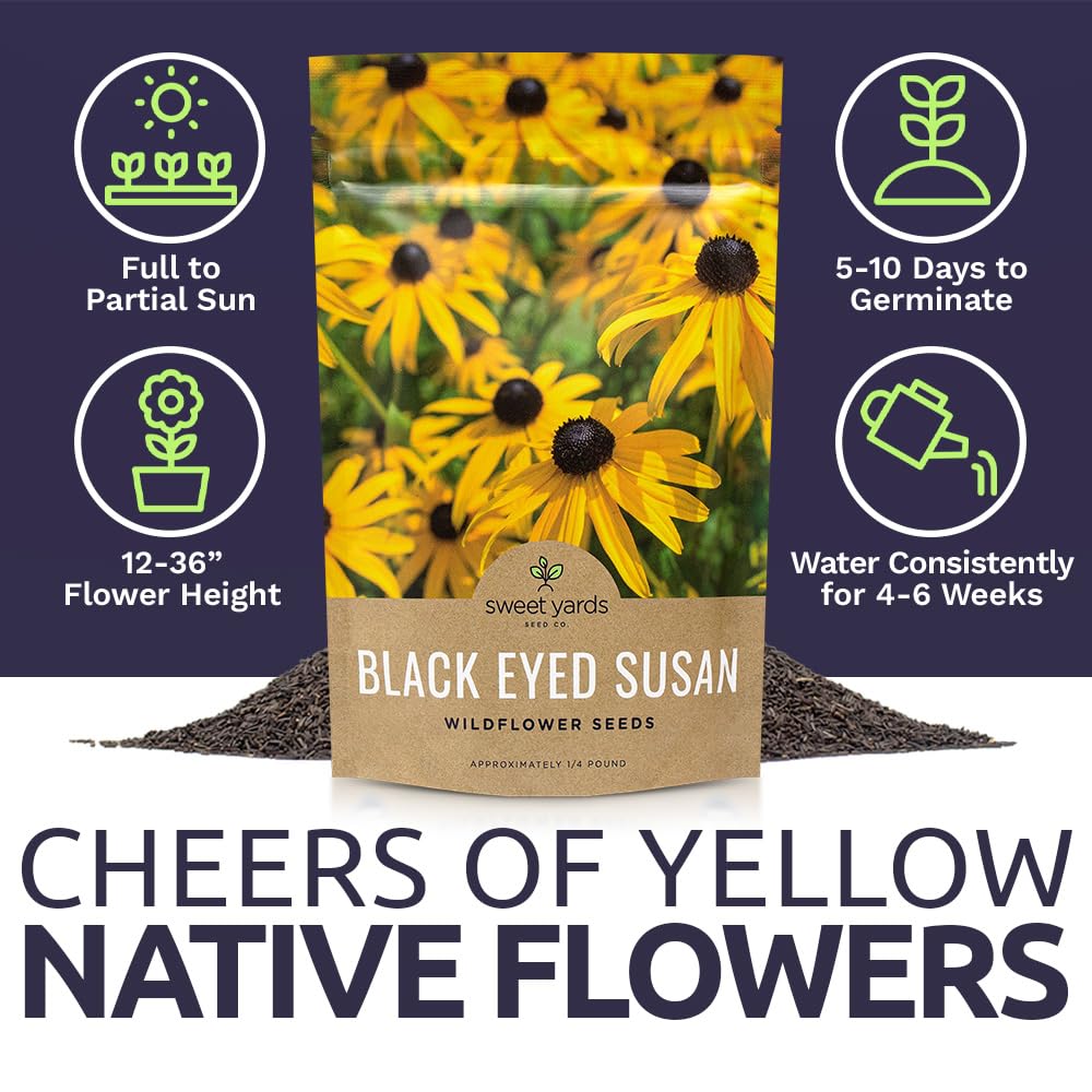 SWEET YARDS Seed bombs and wildflower meadow with Black-Eyed Susan seeds