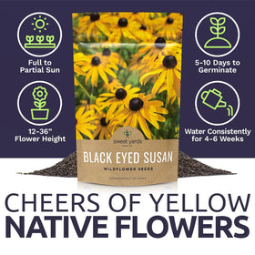 SWEET YARDS Seed bombs and wildflower meadow with Black-Eyed Susan seeds