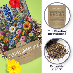 Sweet Yards seed bombs guide illustrates easy reuse of seeds for decorative planting