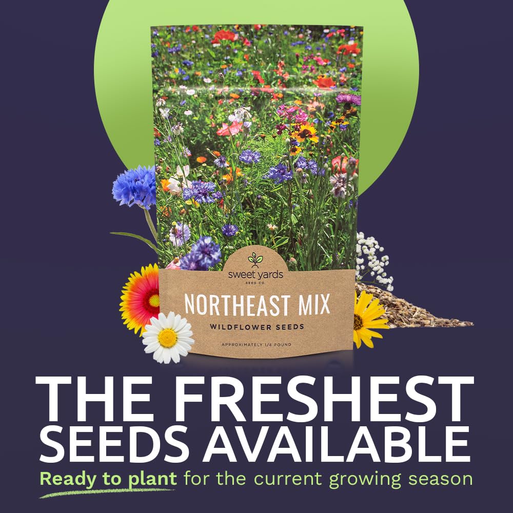 Sweet Yards bulk seeds show 30,000 native seeds for diverse blooms.