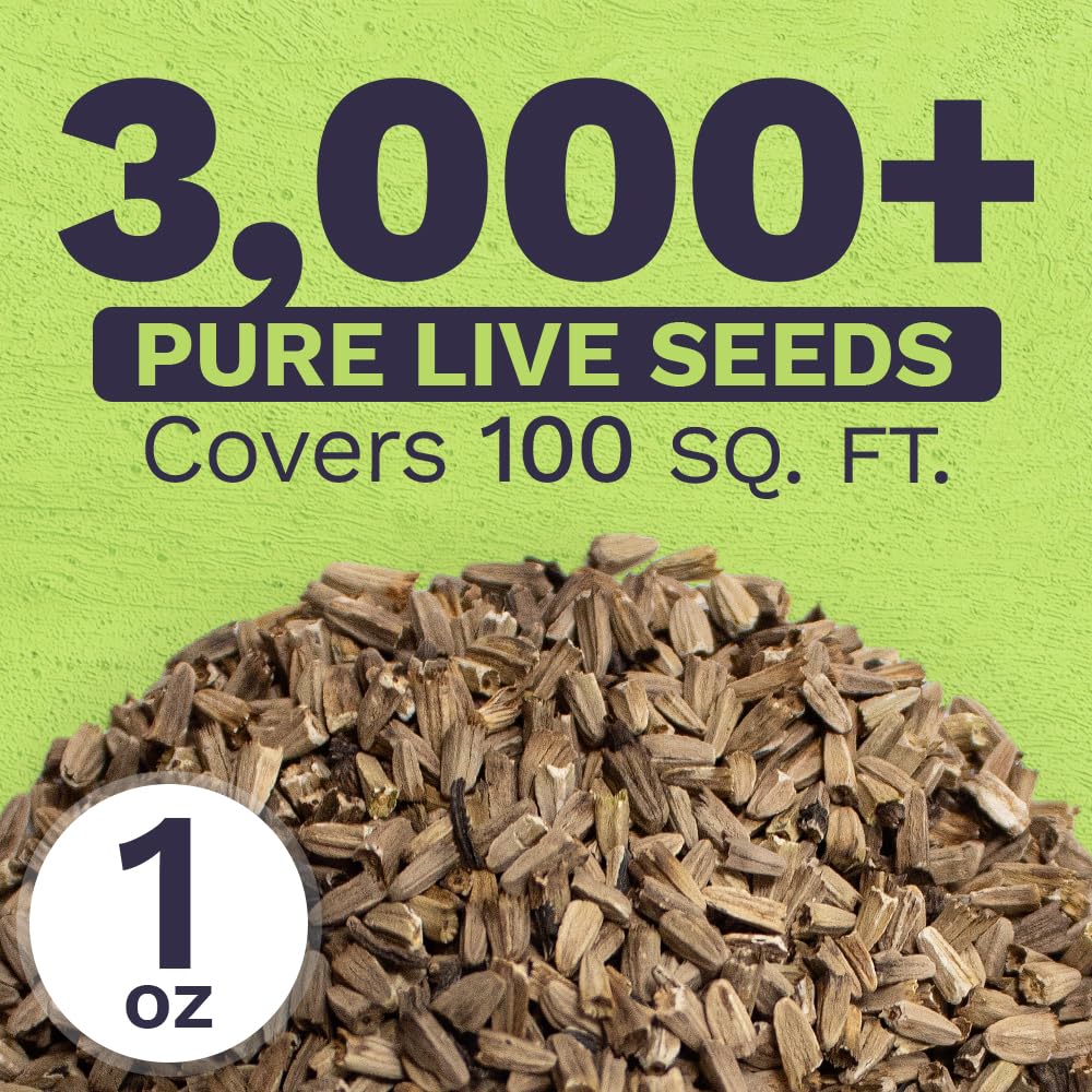 Close up of germinating SWEET YARDS coneflower seeds on soil surface.