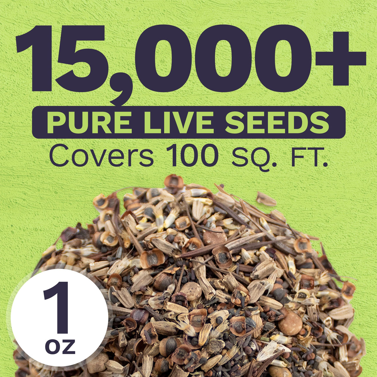 Sweet Yards high germination seeds close-up ready for planting
