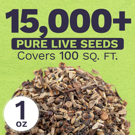 Sweet Yards high germination seeds close-up ready for planting