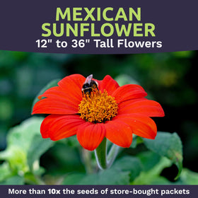 Sweet Yards seed packet bulk content saves time and supports seed swaps.